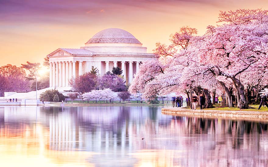 華盛頓櫻花節》美東四大名城.波多馬克賞櫻船.尼加拉大瀑布.OUTLET購物10日 華盛頓櫻花節》美東四大名城.波多馬克賞櫻船.尼加拉大瀑布.OUTLET購物10日