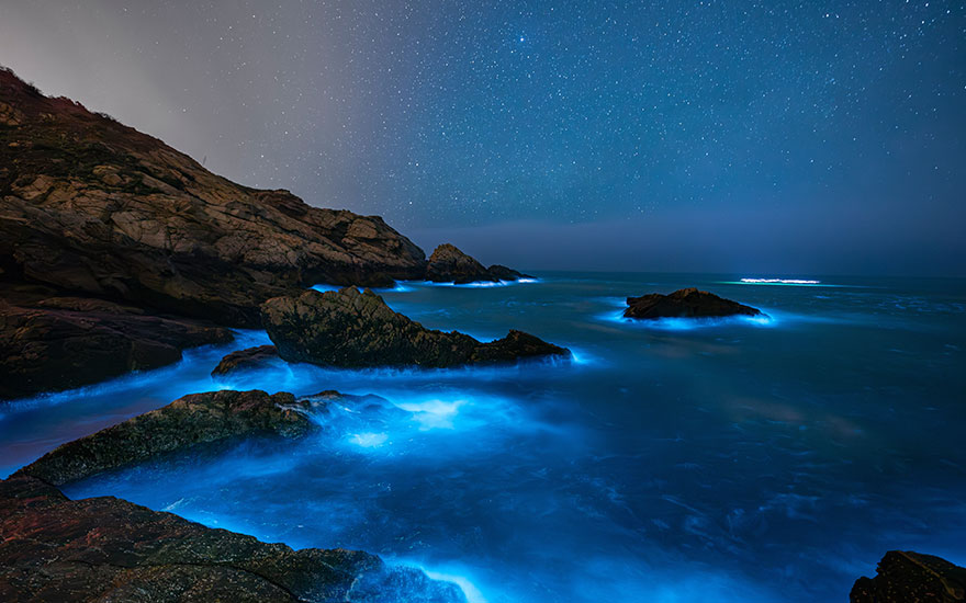 馬祖雙島微幸福》風情南北竿.大坵島尋鹿.坑道搖櫓船.海上藍眼淚3日 馬祖雙島微幸福》風情南北竿.大坵島尋鹿.坑道搖櫓船.海上藍眼淚3日