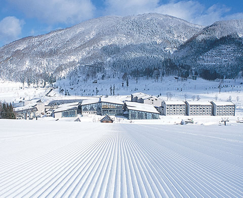 2017日本长野滑雪团,斑尾东急度假村,专业教练