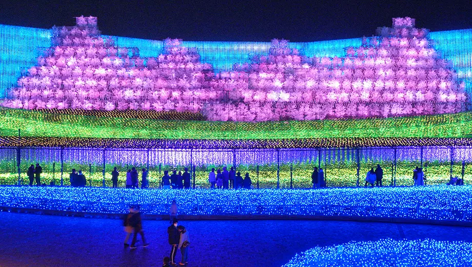 名花之里彩燈