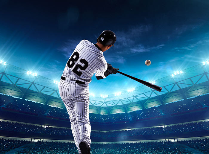 甲子園職棒 日本職棒