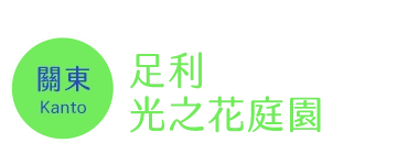 足利 光之花庭園時間