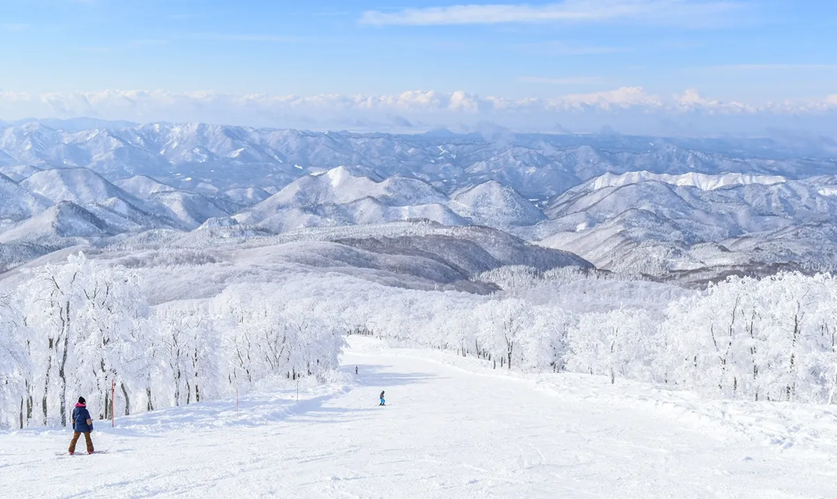 吉山樹冰冰雪