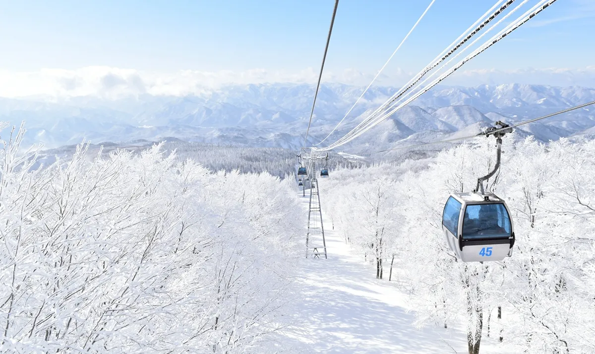 吉山樹冰奇景