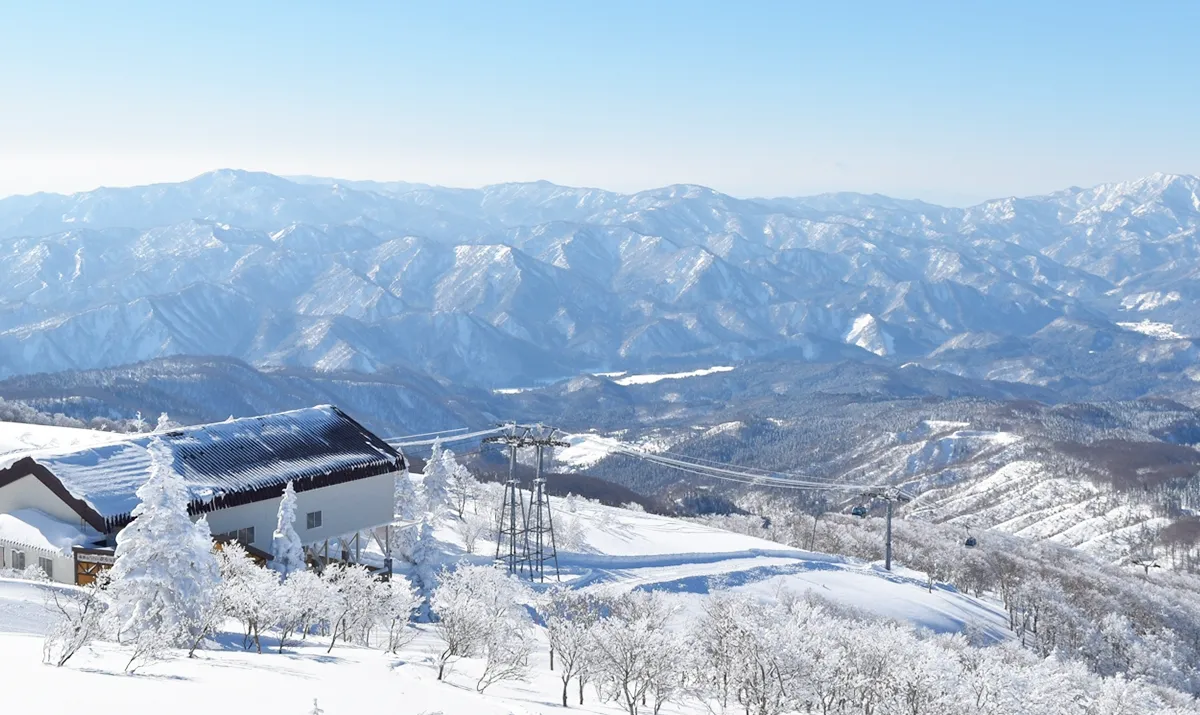 吉山樹冰雪景
