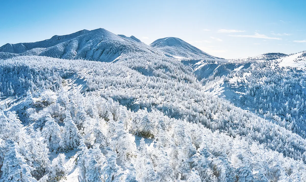 八甲田樹冰冰雪