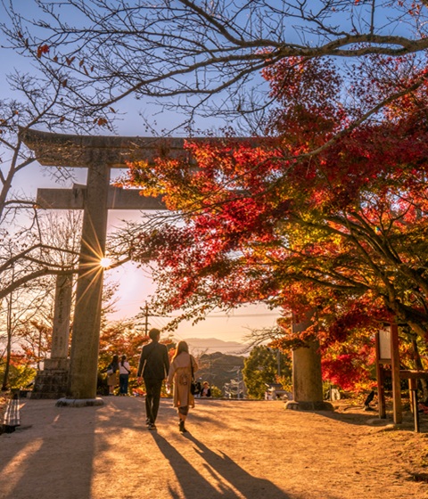 太宰府天滿宮＋竈門神社+柳川