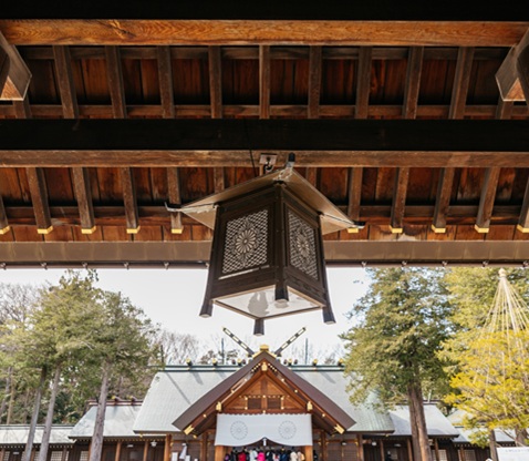 北海道神宮＋白色戀人公園