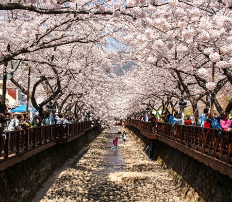 鎮海軍港節一日遊