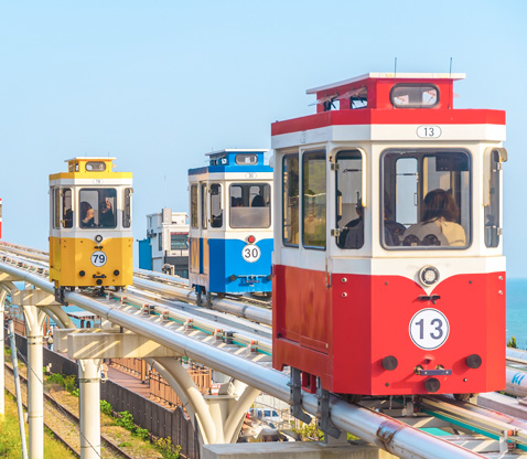 天空膠囊追櫻一日遊