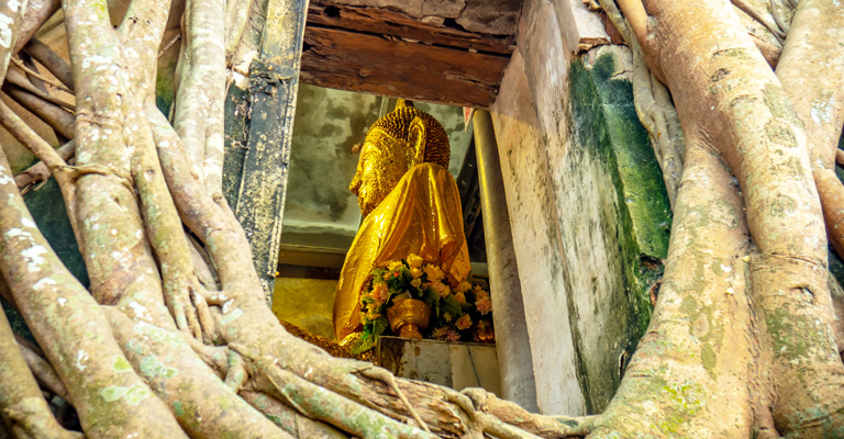 鐵道市集+河畔海鮮餐+樹中廟+安帕瓦夜巡螢火蟲