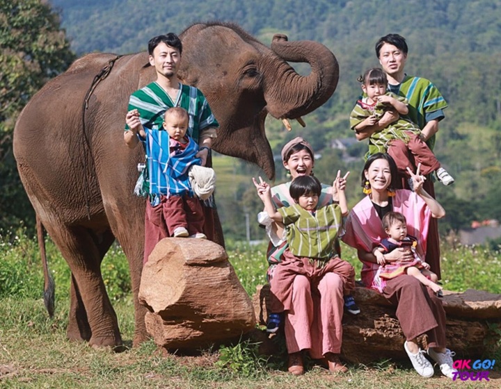 超人氣大象咖啡廳半日遊