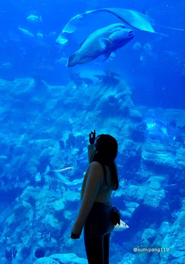 香港海洋公園