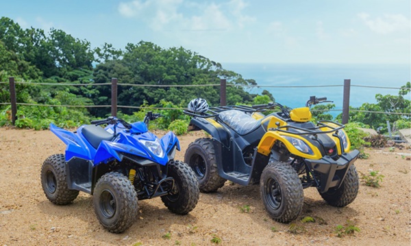 Bravo!MUNAKATA OSHIMA Bravo!MUNAKATA OSHIMA