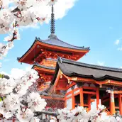 京都清水寺