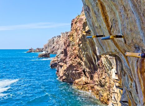 廣域5日券+和歌山樂享周遊券 廣域5日券+和歌山樂享周遊券