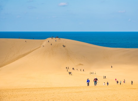 廣域5日券+鳥取樂享周遊券 廣域5日券+鳥取樂享周遊券