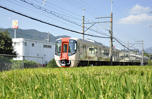 太宰府柳川套票