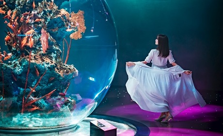 神戶都市水族館