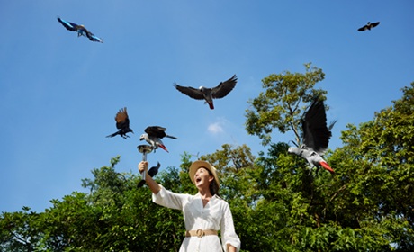 新加坡飛禽公園 新加坡飛禽公園