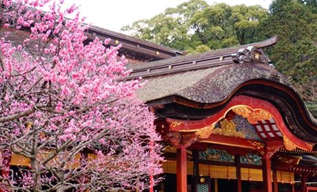 福岡露天觀光巴士