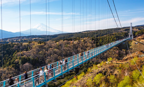 JR富士山、靜岡地區周遊券Mini