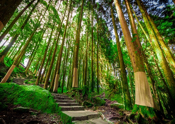 熱門景點門票