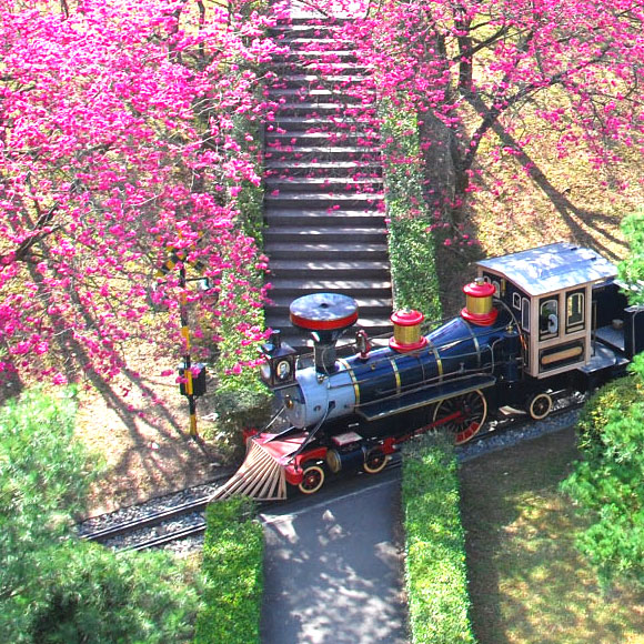 主題樂園