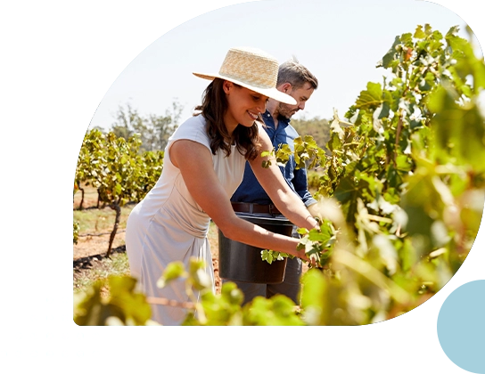 Hunter Valley Hunter Valley