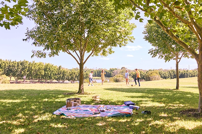 雪梨奧林匹克公園