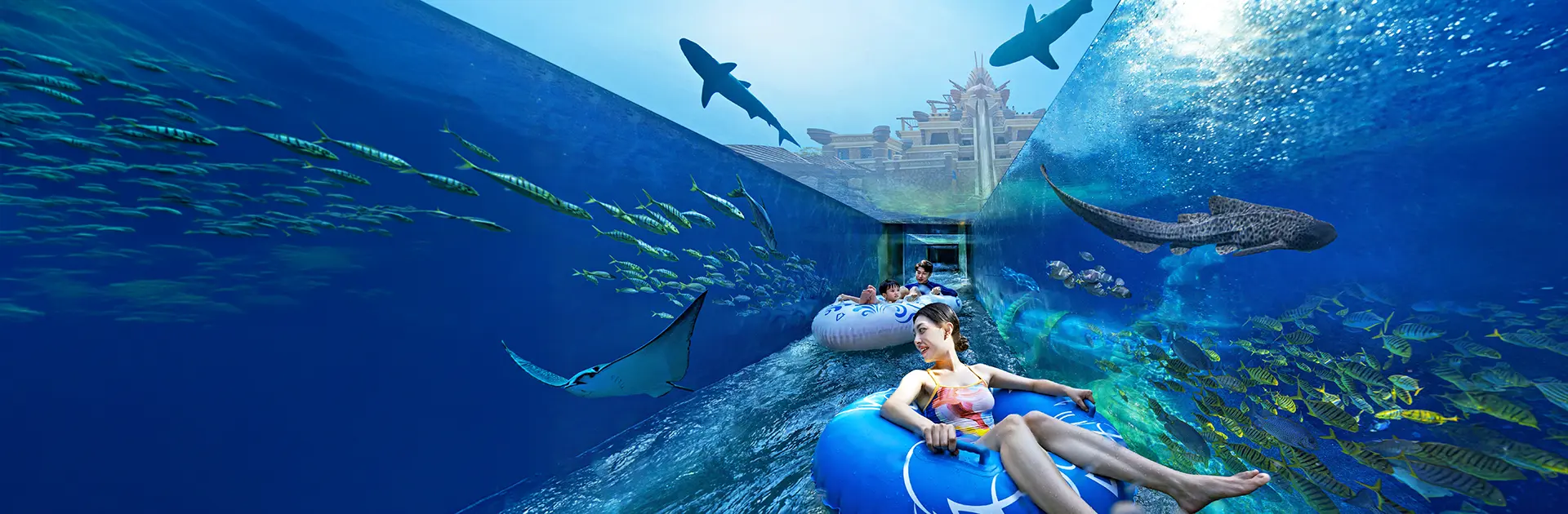 三亞水族館 三亞水族館
