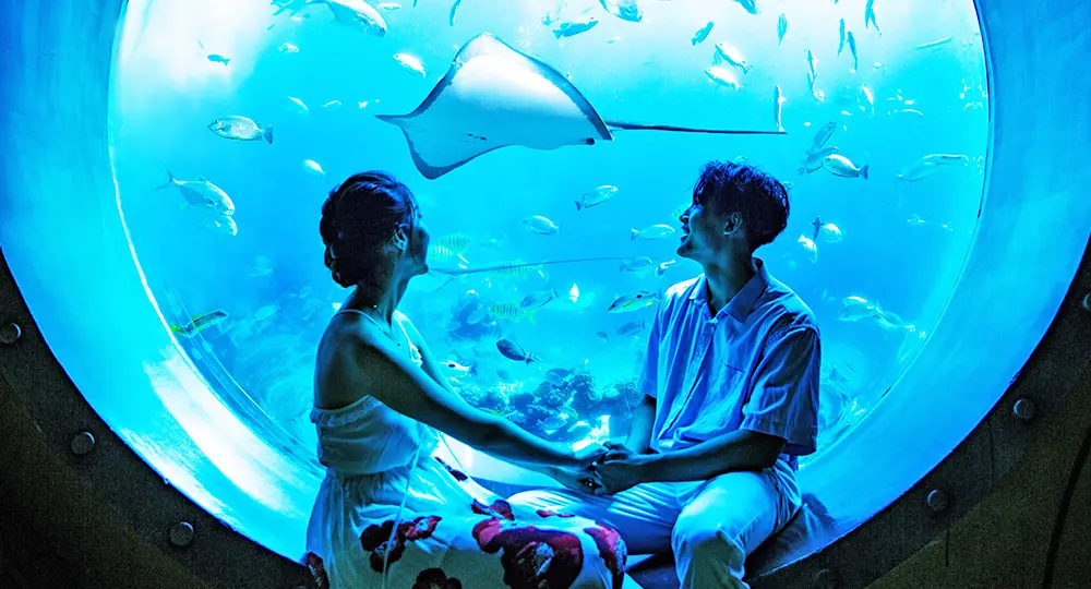 亞特蘭蒂斯 失落的空間水族館