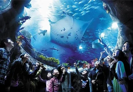 香港海洋公園 海洋奇觀