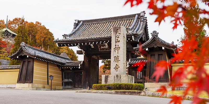 神勝寺《禪和庭的美術館》
