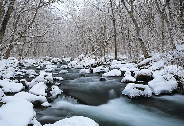 冬季奧入瀨溪流