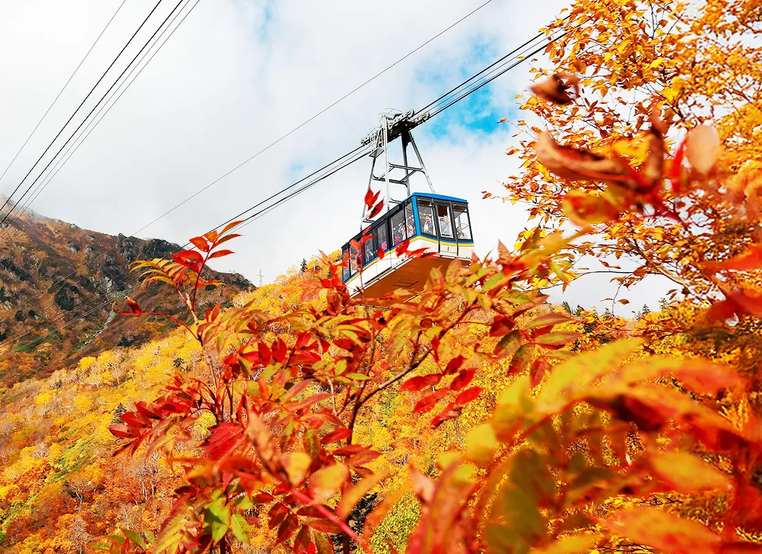 秋賞楓谷