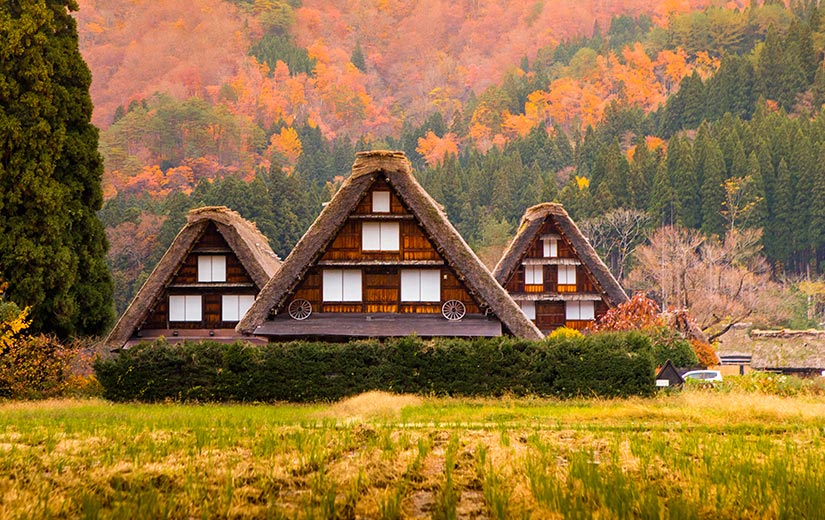 白川鄉 合掌村