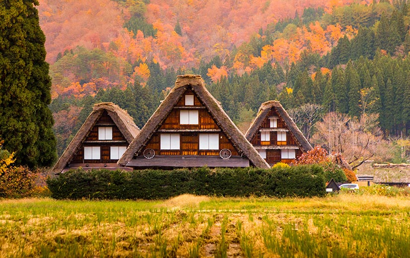 白川鄉 合掌村