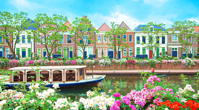 豪斯登堡玫瑰花季 豪斯登堡玫瑰花季