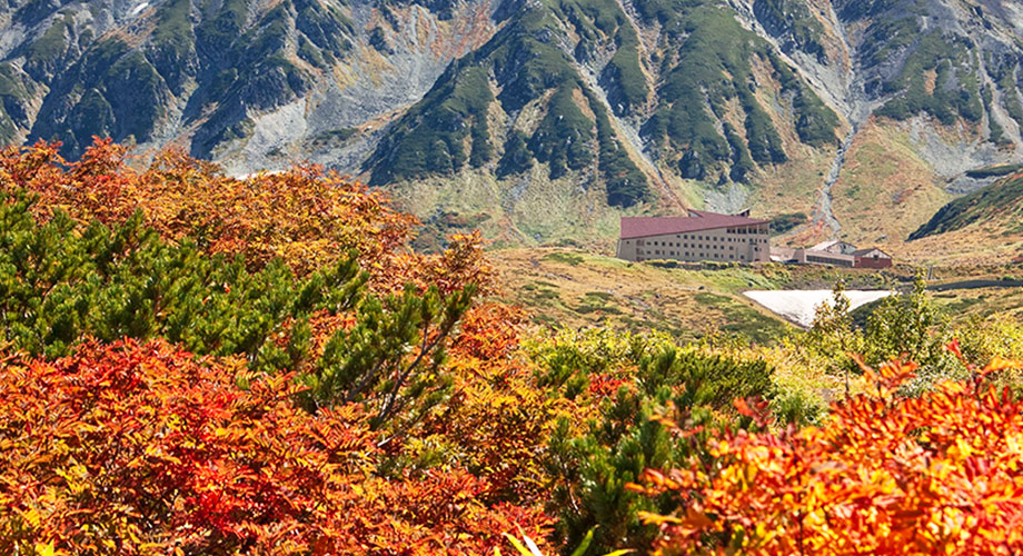 立山飯店
