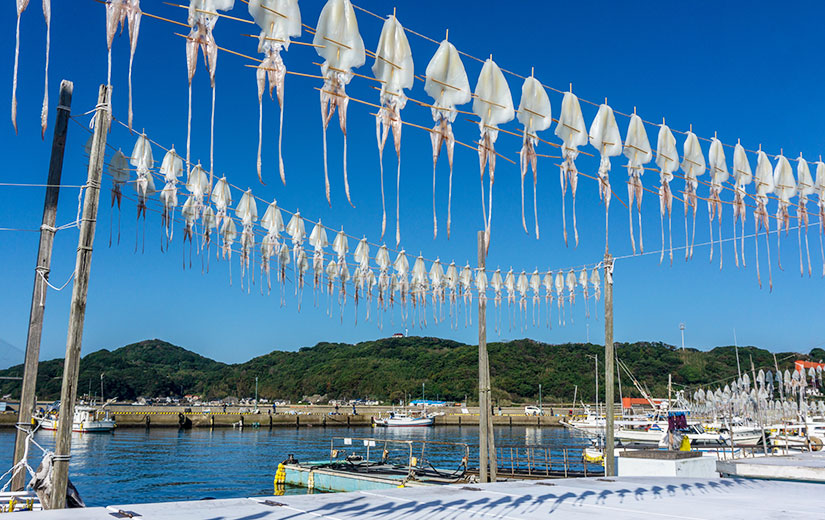 呼子魷魚