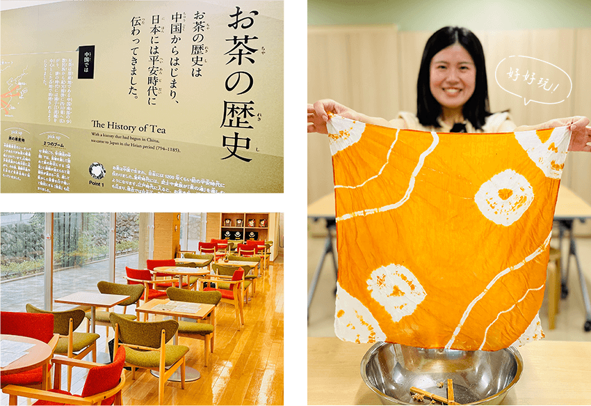 嬉野茶交流館茶染 嬉野茶交流館茶染