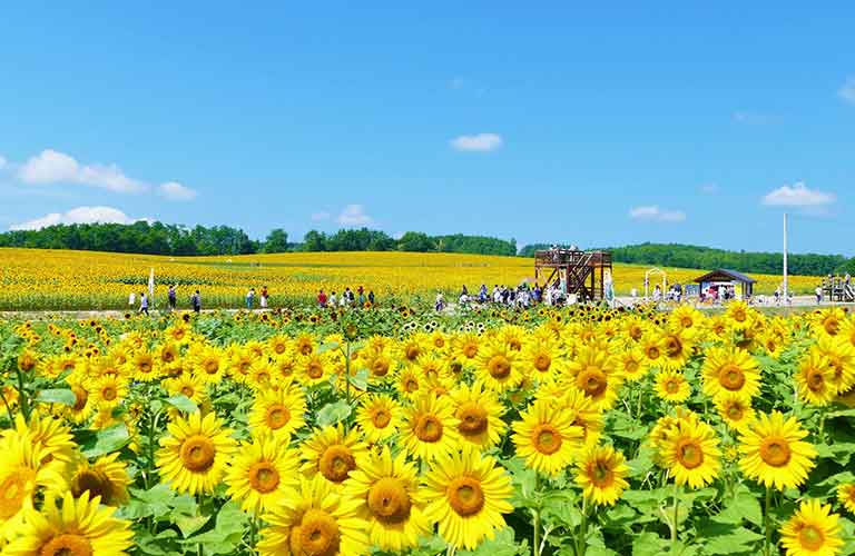 北海道