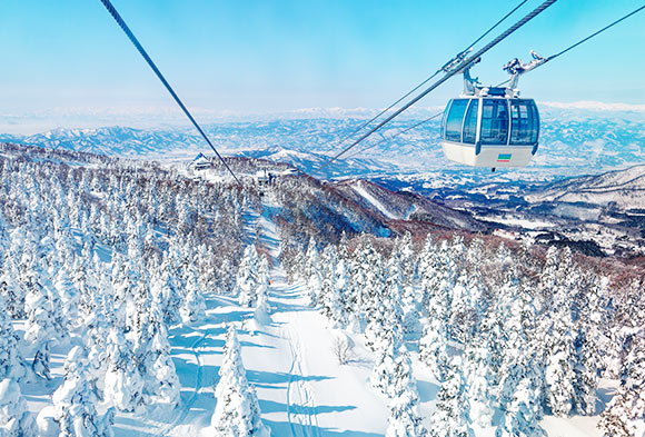 冬日絕景藏王樹冰