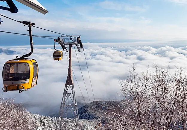 八公山道立公園 八公山道立公園