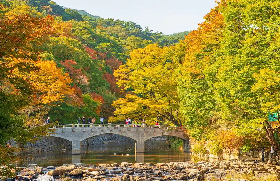 麻古寺