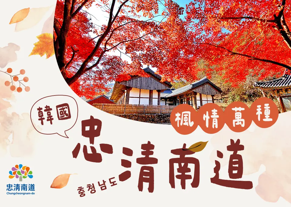 韓國忠清南道楓情萬種 手機版