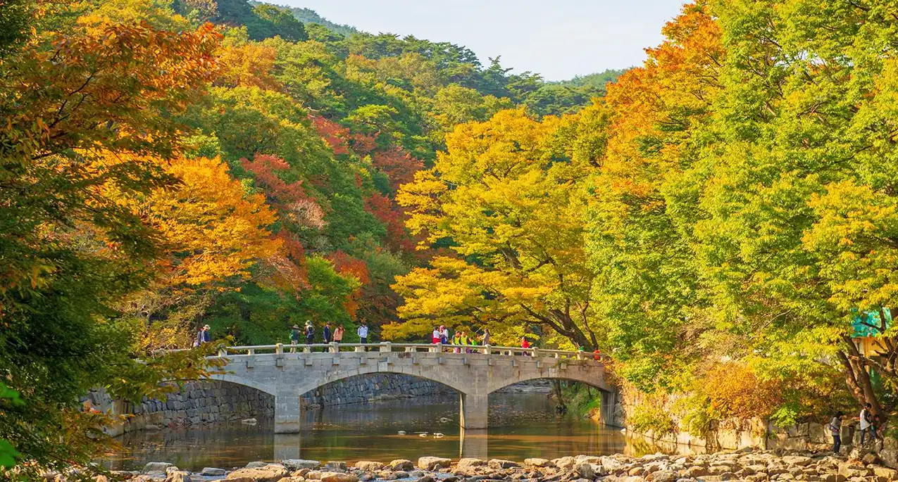 麻古寺-橋邊賞楓