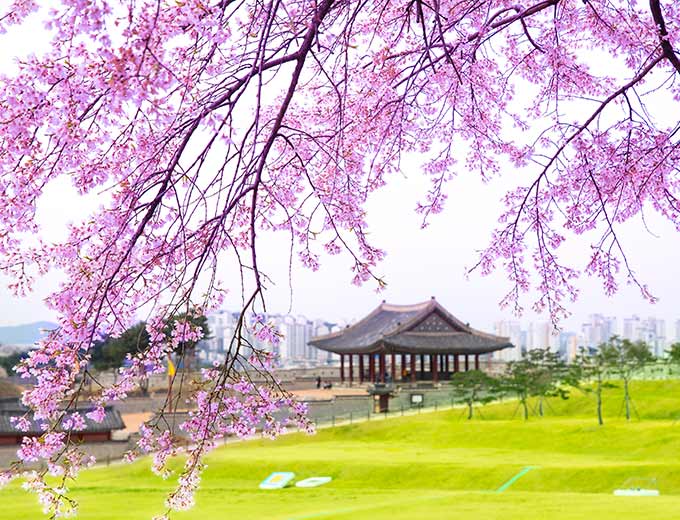 水原華城