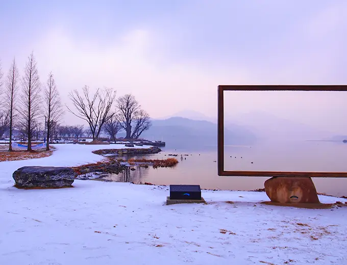 楊平兩水頭+櫸木